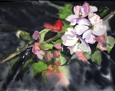 Crabapple Blossums