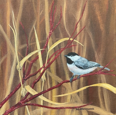 Chickadee