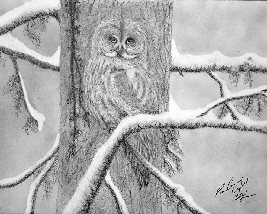Artword by Kim Conway-Capell