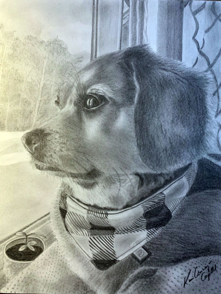 Artword by Kim Conway-Capell