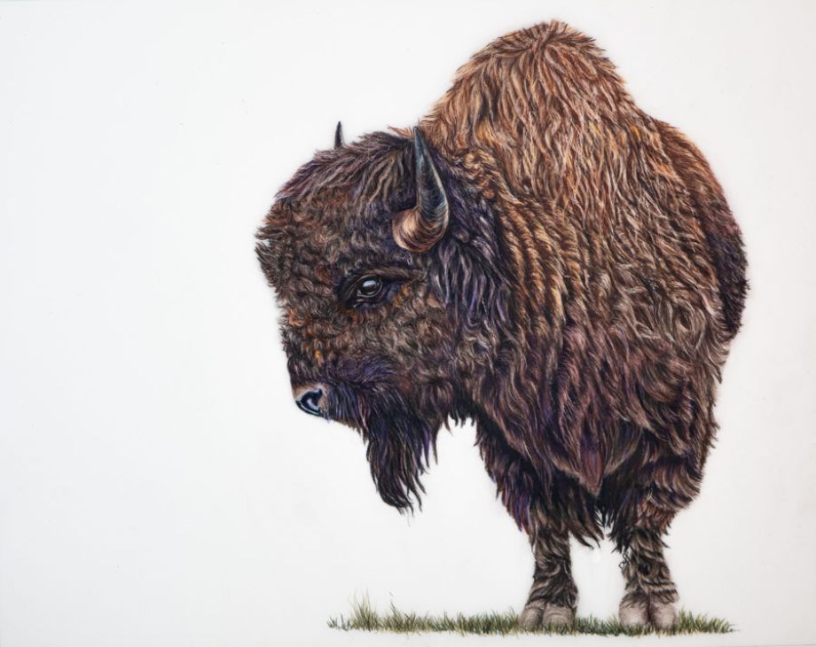 Artword by Duff Jennings