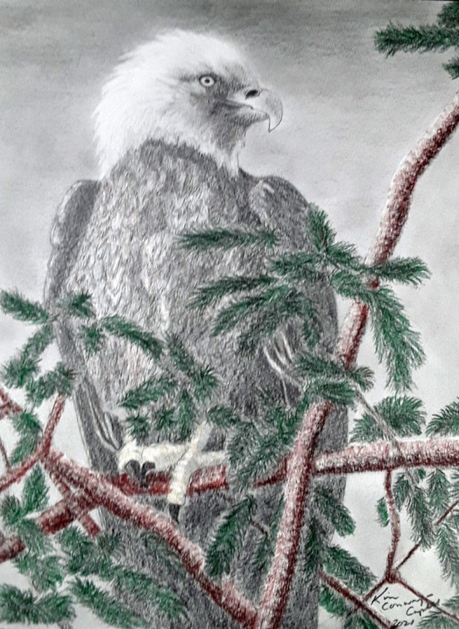 Artword by Kim Conway-Capell