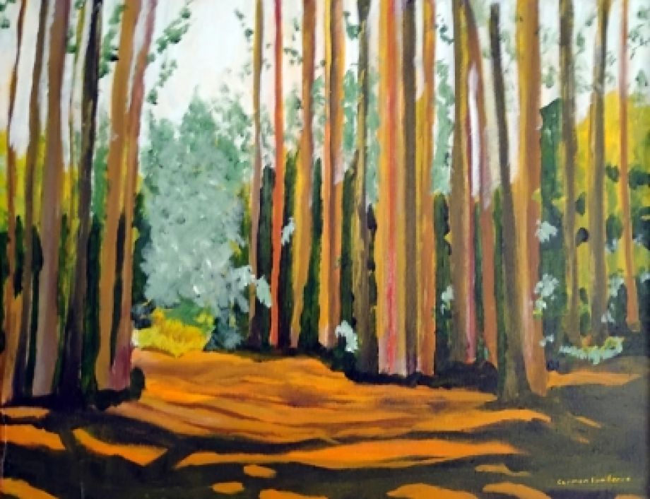 Artword by Carmen Boniferro